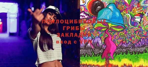 крисы Балахна