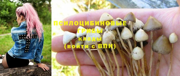 крисы Балахна