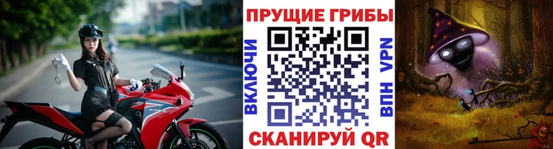 Галлюциногенные грибы прущие грибы  дарк нет формула  Болотное  закладки 